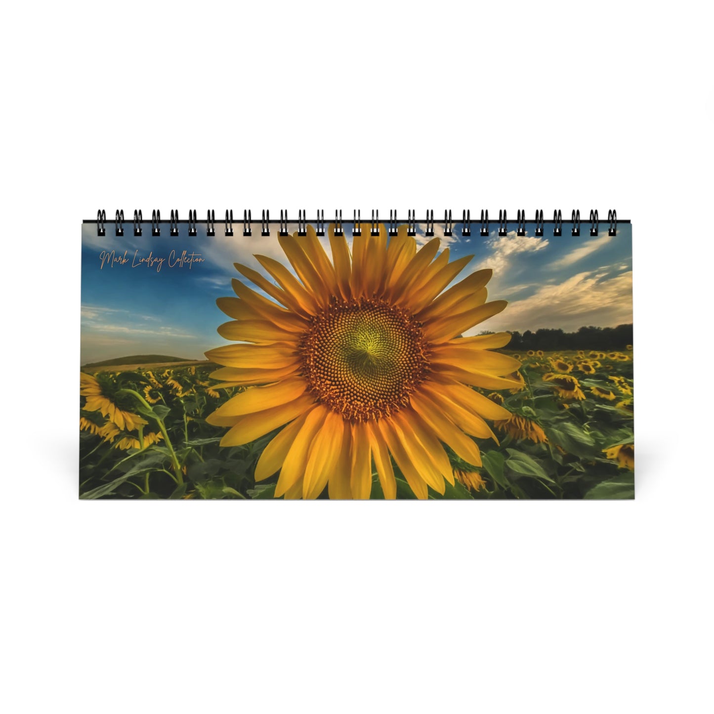 Mark Lindsay Spectacular Sunflower Collection Desk Calendar