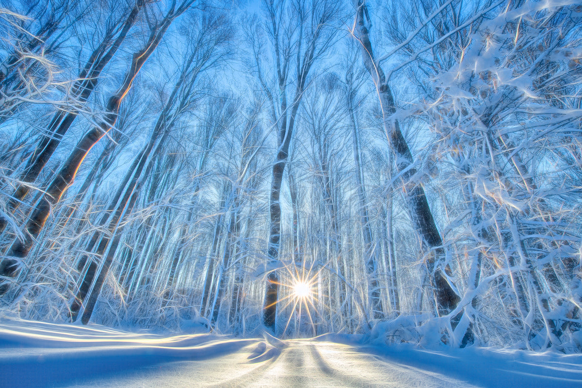 Winter Solstice