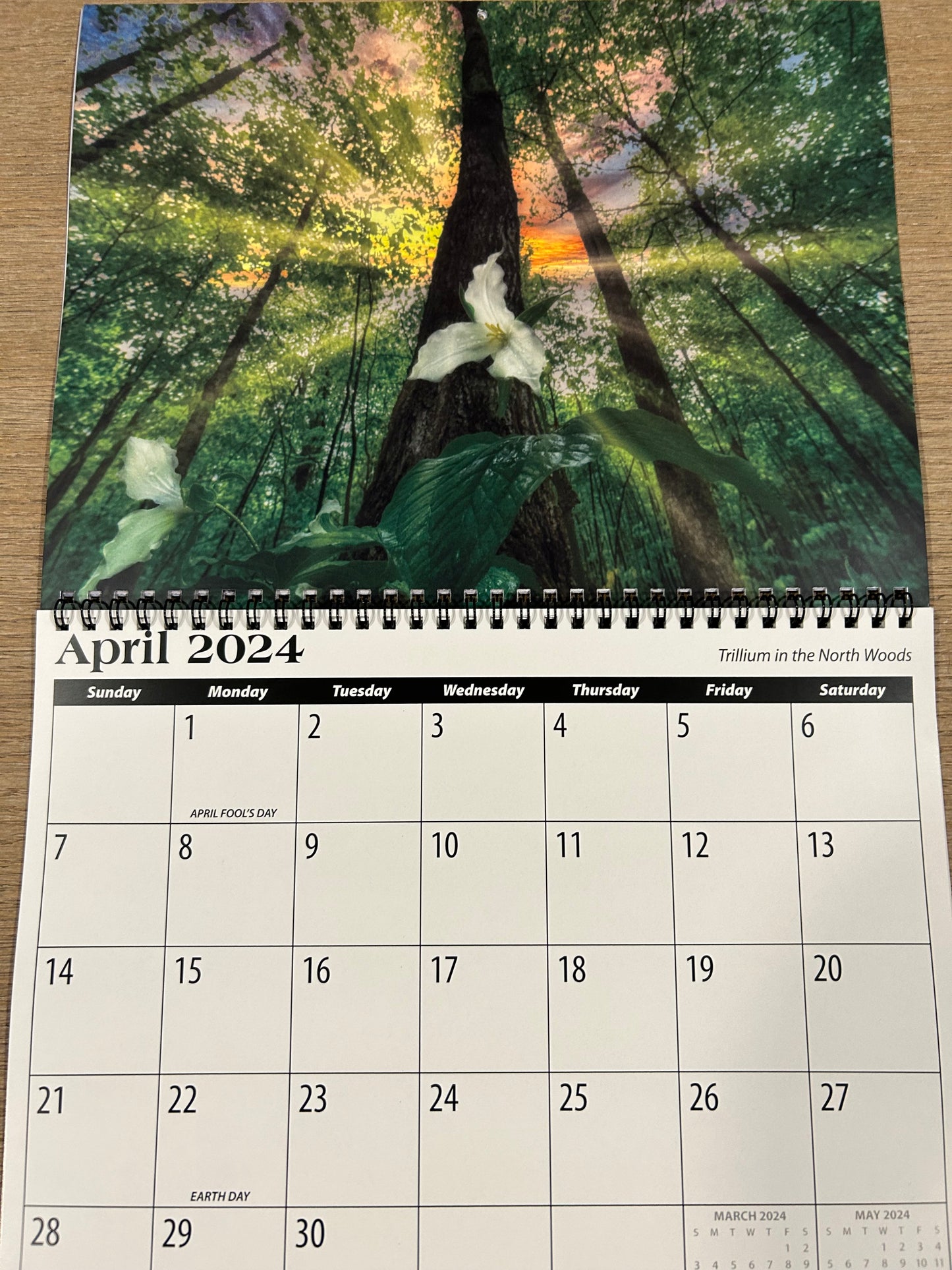 2024 Mark Lindsay Calendar