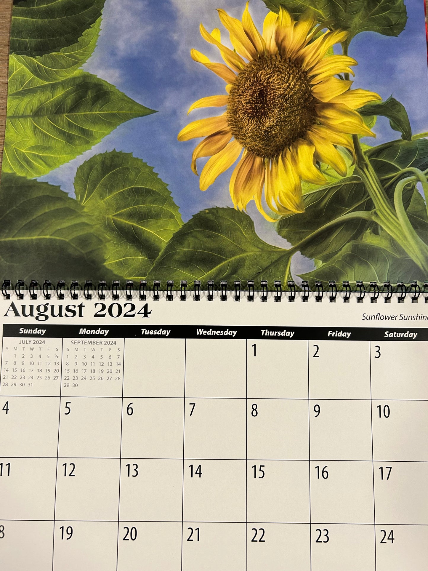 2024 Mark Lindsay Calendar