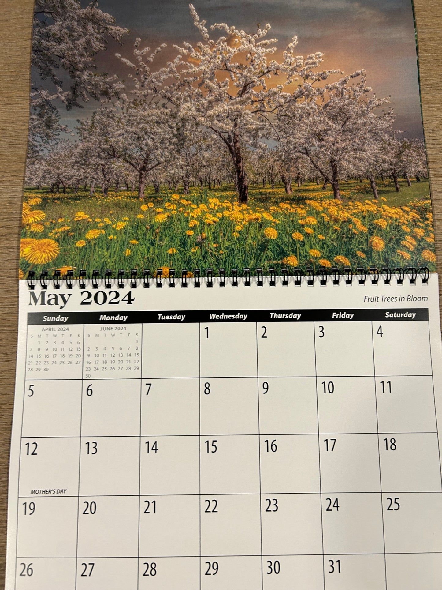2024 Mark Lindsay Calendar