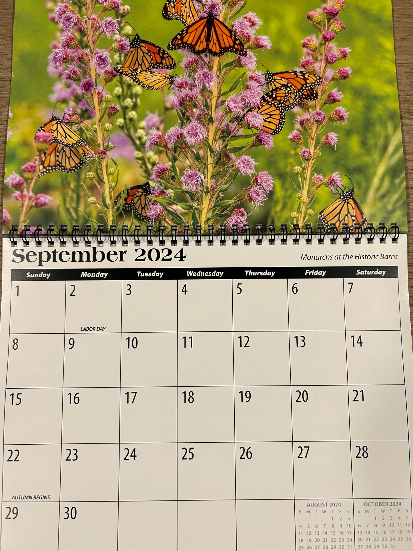 2024 Mark Lindsay Calendar