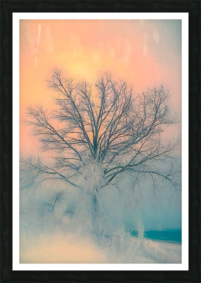 Whispers Of A Frozen Dawn