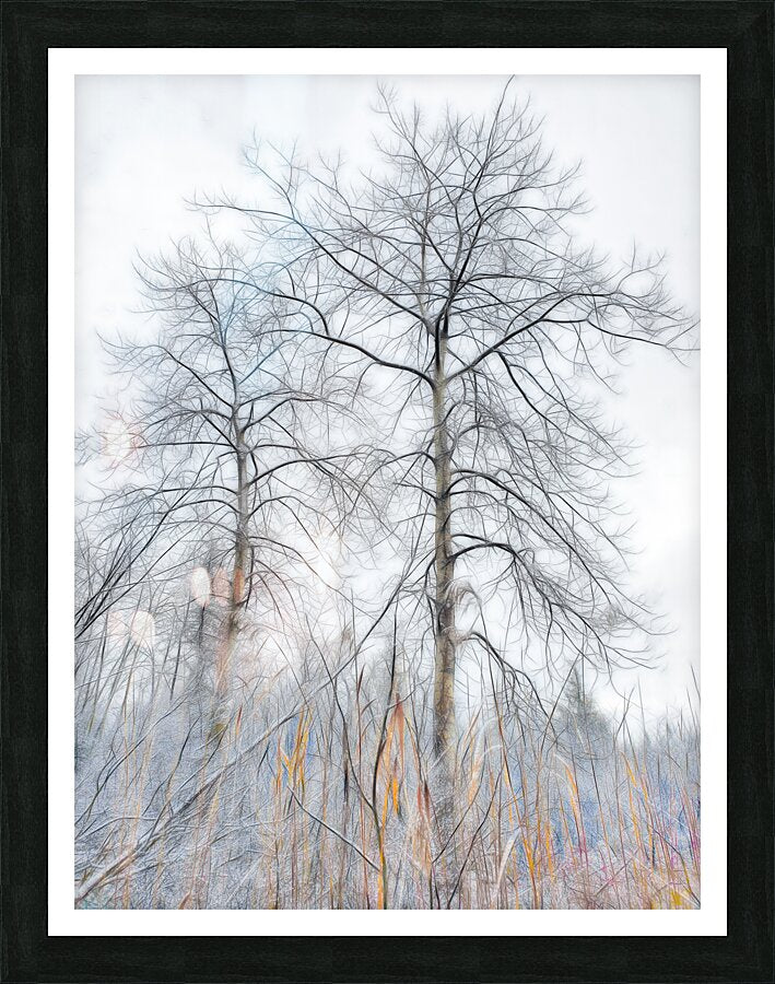 Winters Skeletal Embrace