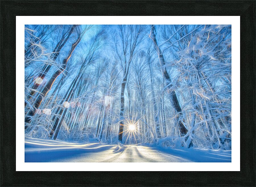 Winter Solstice