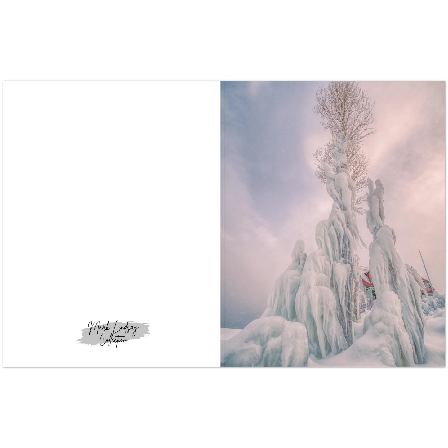 3445c0a5-8ce2-4508-8607-77e3af9731a7