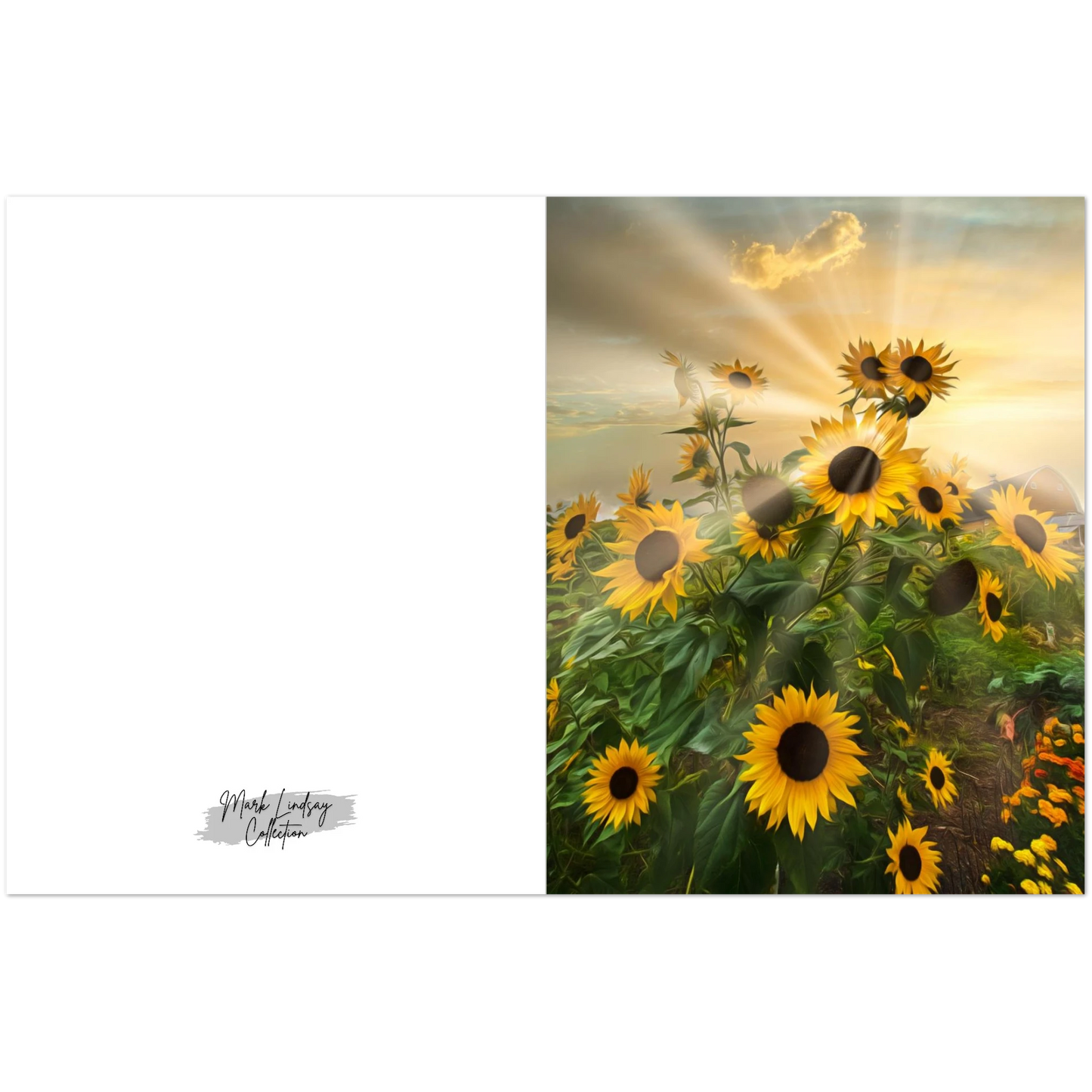 4ff4cadd-b2da-4629-b904-02e2c8b9d89b