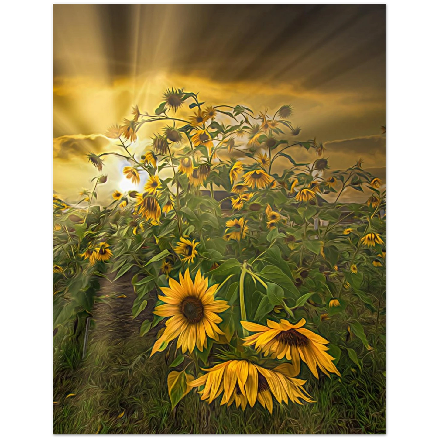 78bb8757-4a04-4d64-808d-a27d11656456