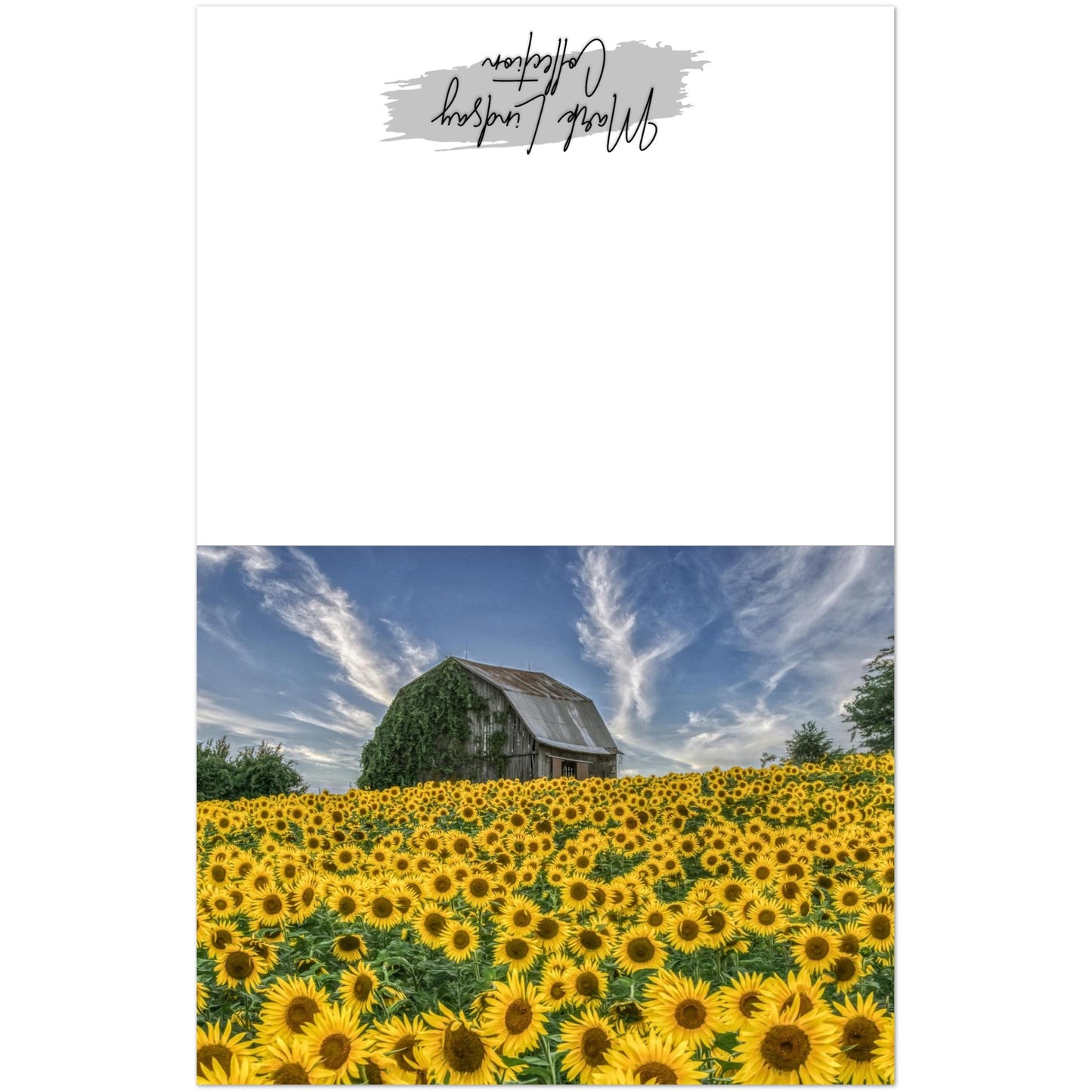 7b430923-0baf-4692-bf76-44962b69ba4a