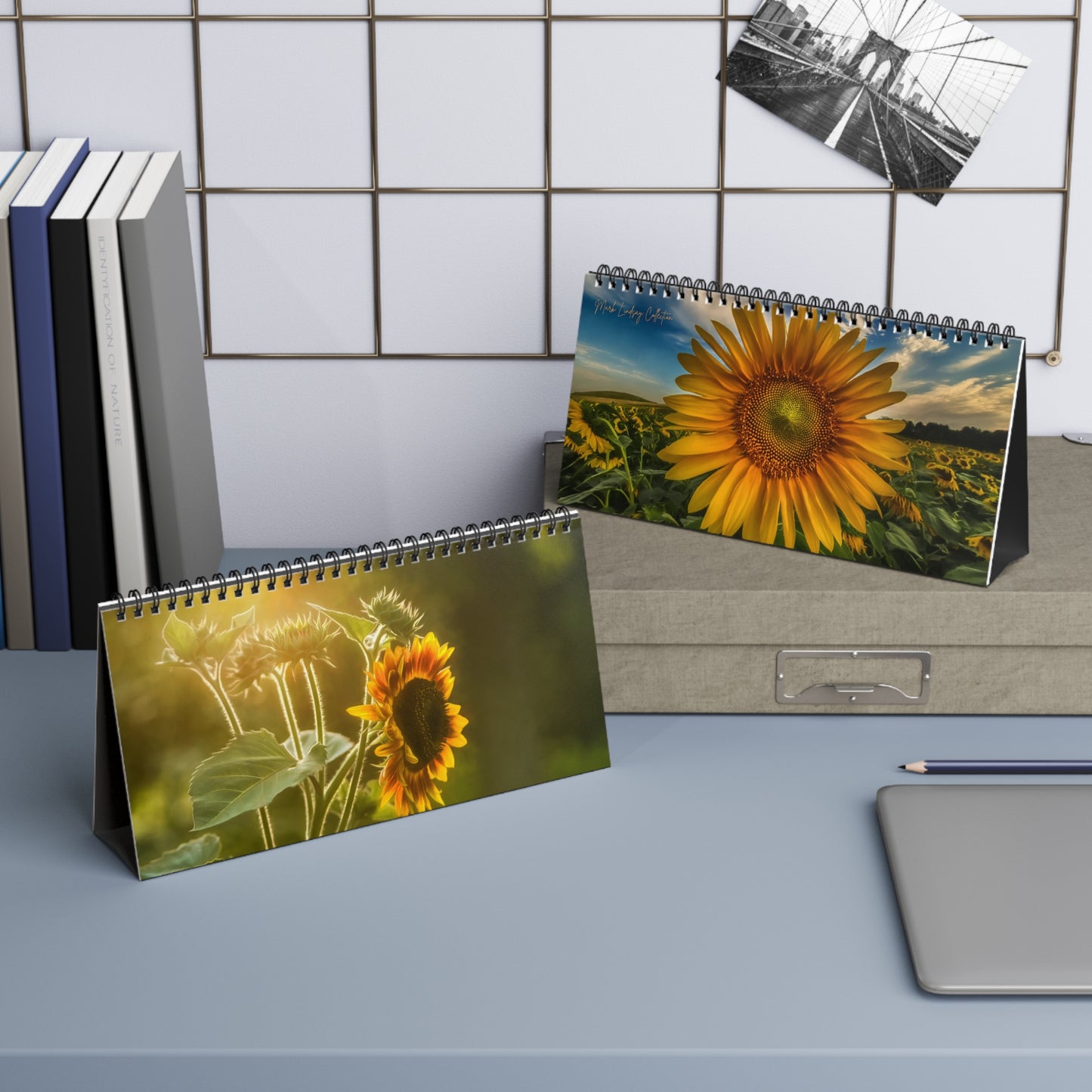 Mark Lindsay Spectacular Sunflower Collection Desk Calendar