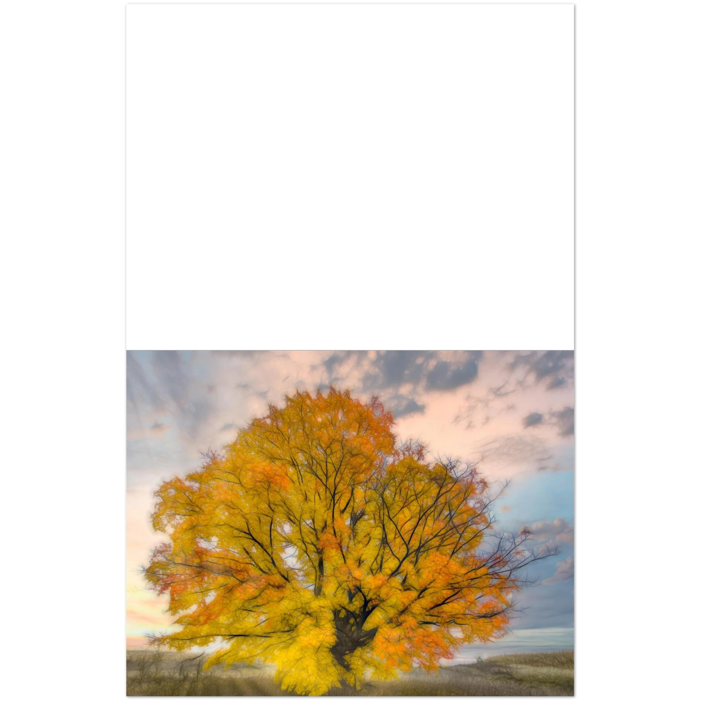 9ac0db5c-ac66-4a3f-9144-d6877e35a2b0