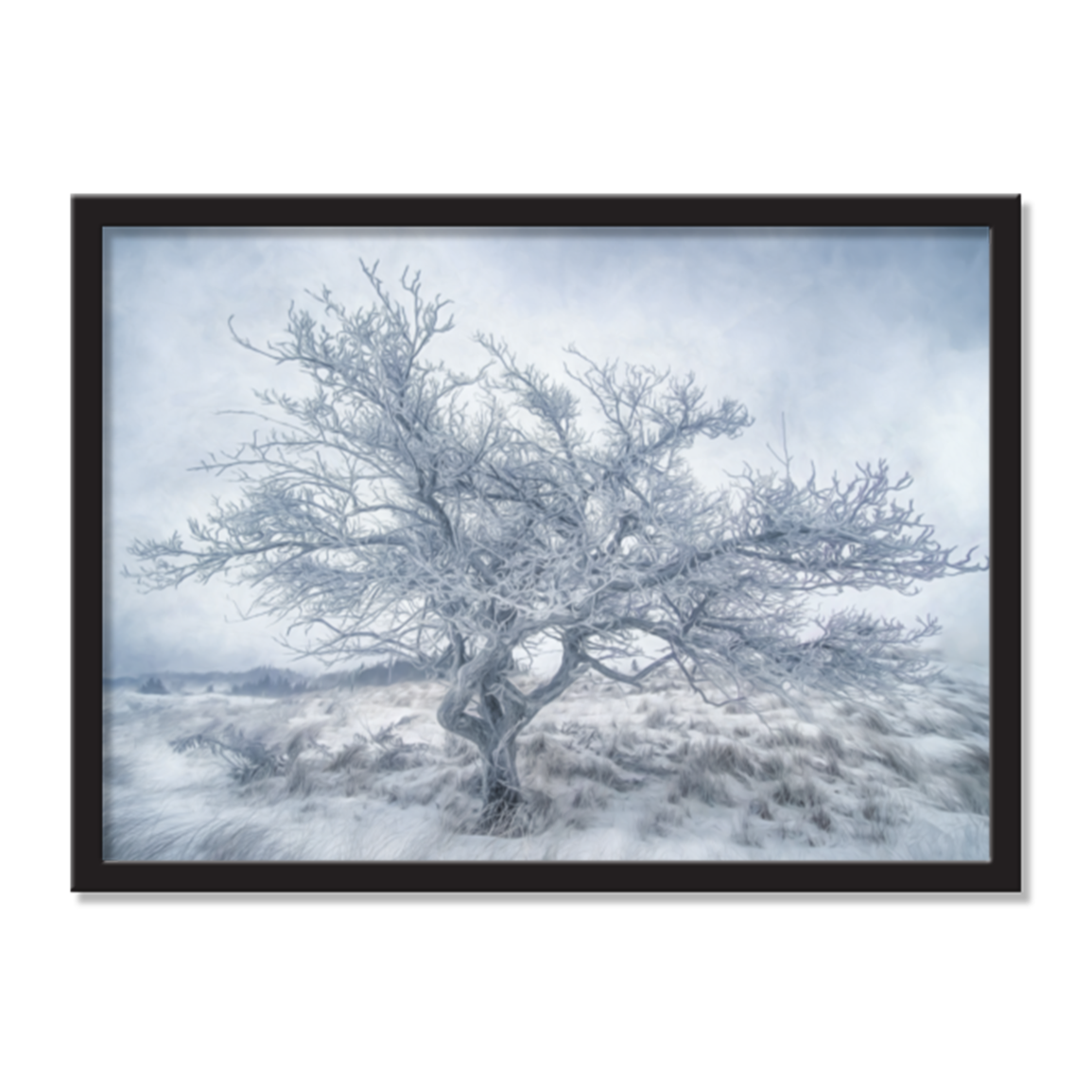Winter' Beauty & Solitude AirFrame Photo Tile