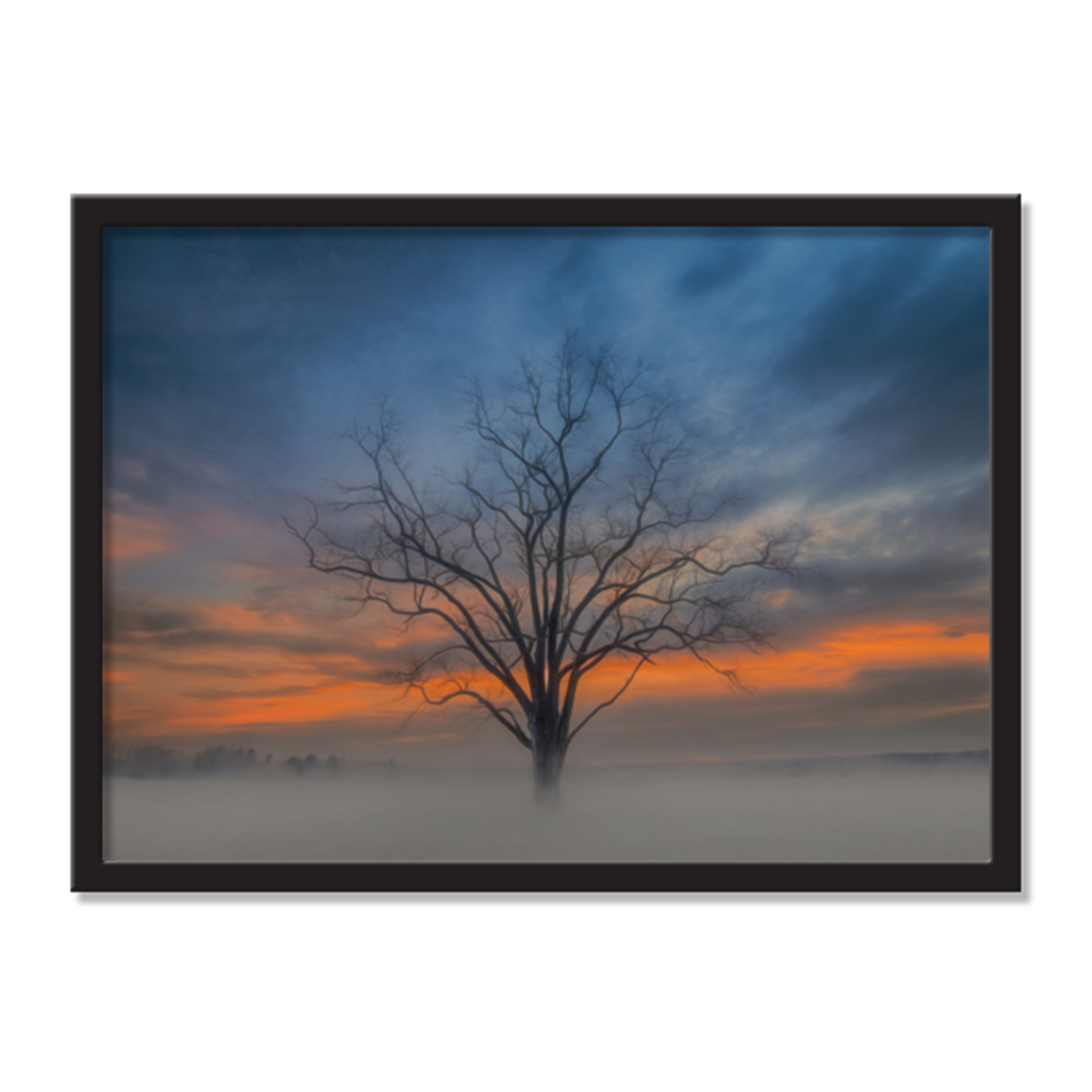 Triple Beauty AirFrame Photo Tile