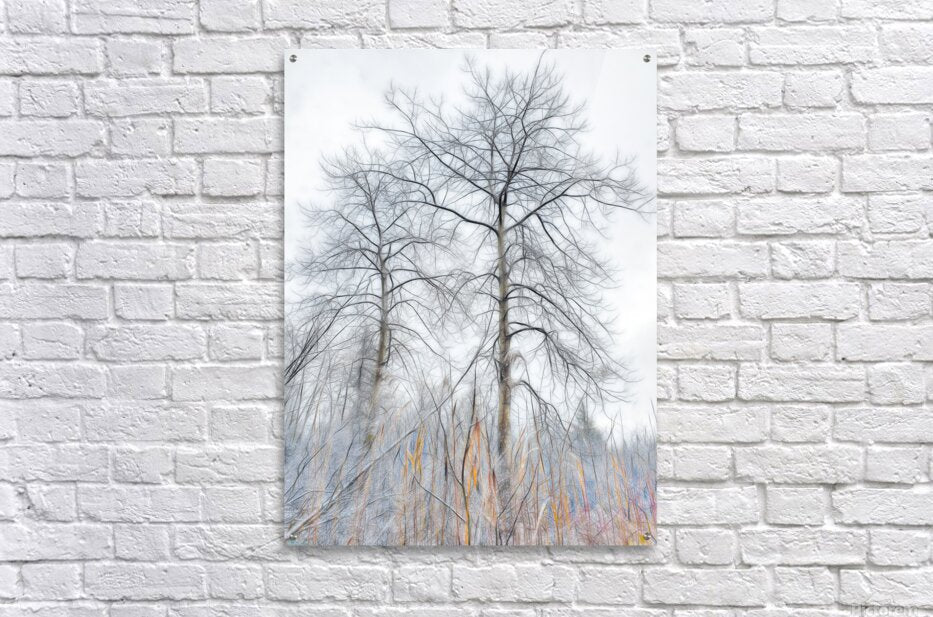 Winters Skeletal Embrace