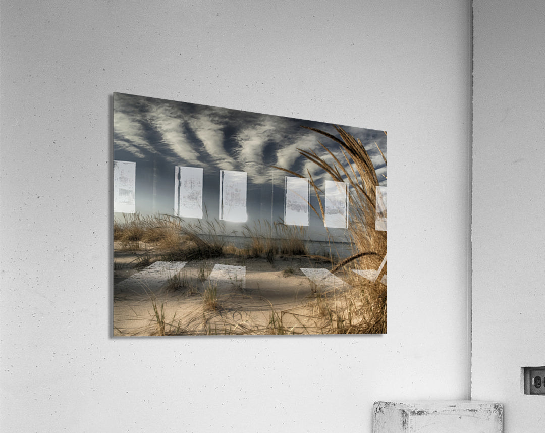 718398 :: Acrylic Print