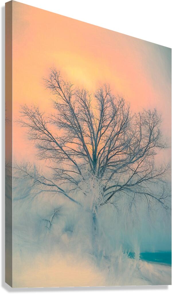 Whispers Of A Frozen Dawn