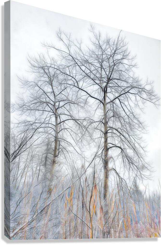Winters Skeletal Embrace