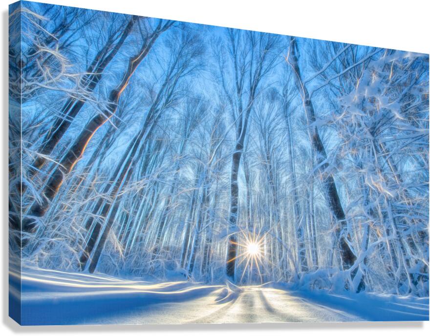 Winter Solstice