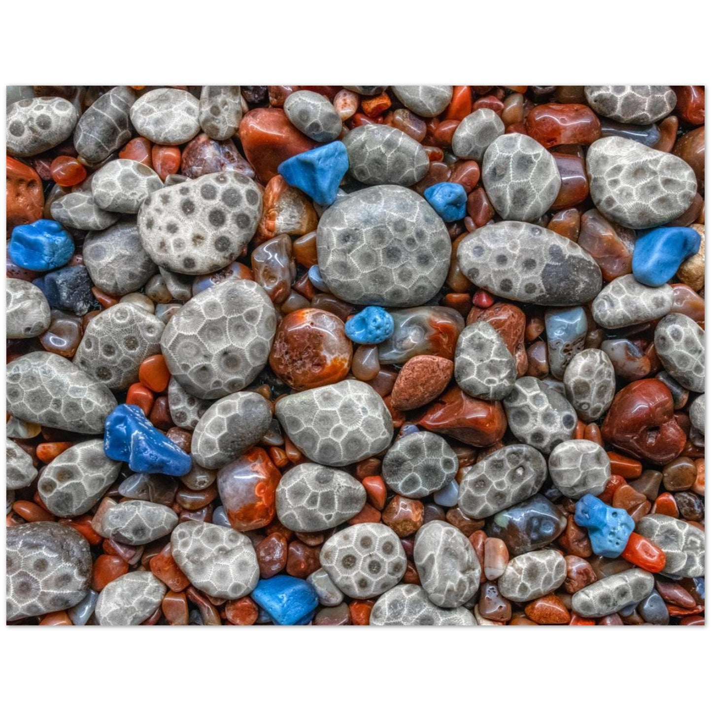 f69ed29d-e939-4261-89a0-277734f1aa4e