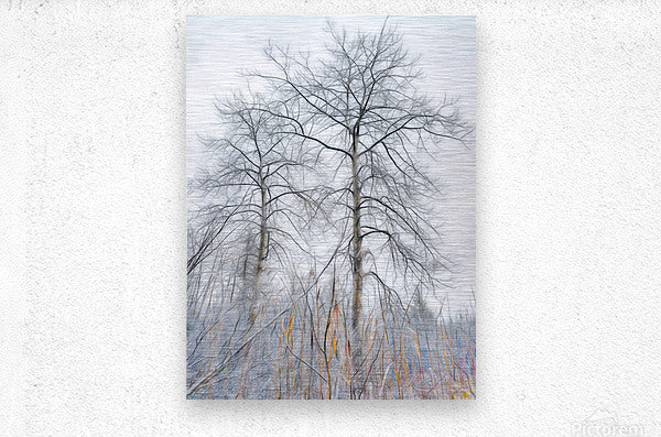 Winters Skeletal Embrace
