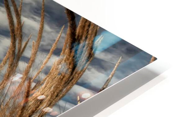 718398 :: HD Sublimation Metal Print