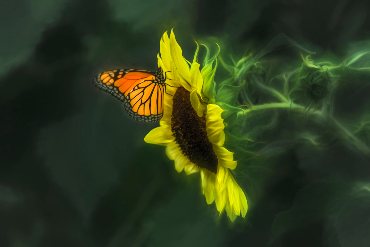 Giclee Fine Art Matte Paper Print