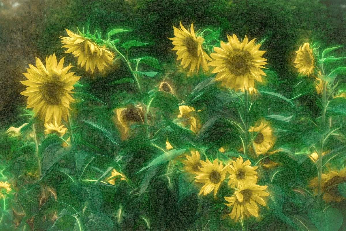 Giclee Fine Art Matte Paper Print