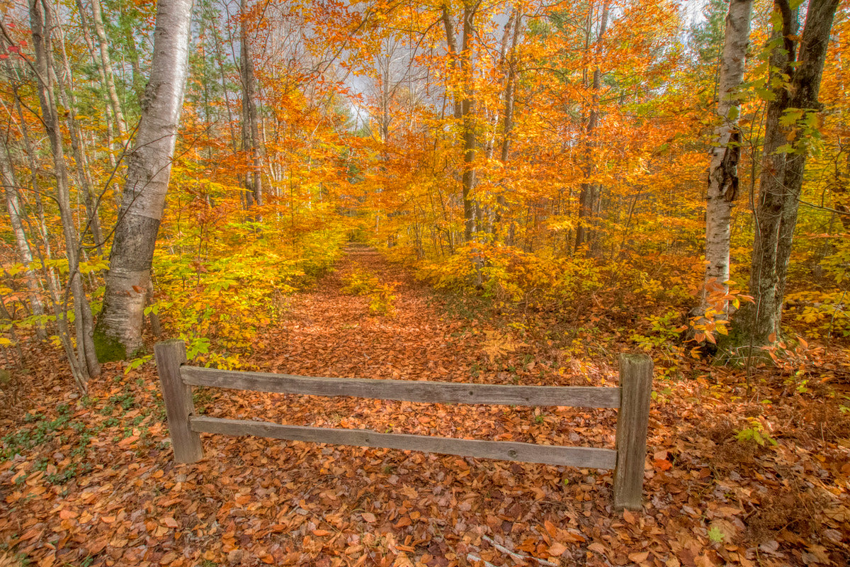 Whispering to the Fall