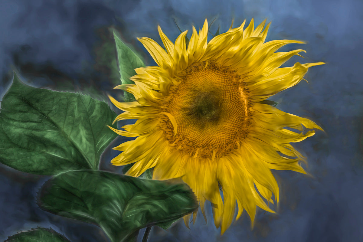 Giclee Fine Art Matte Paper Print