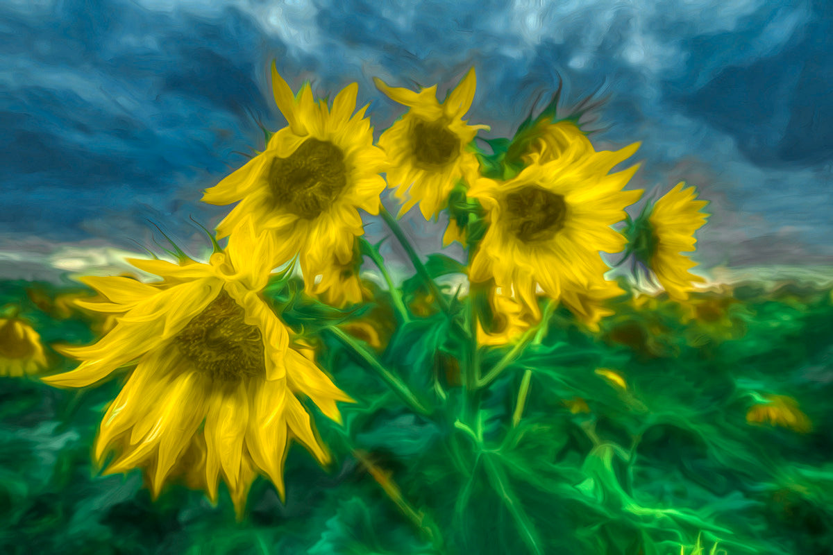 Giclee Rolled Canvas Print