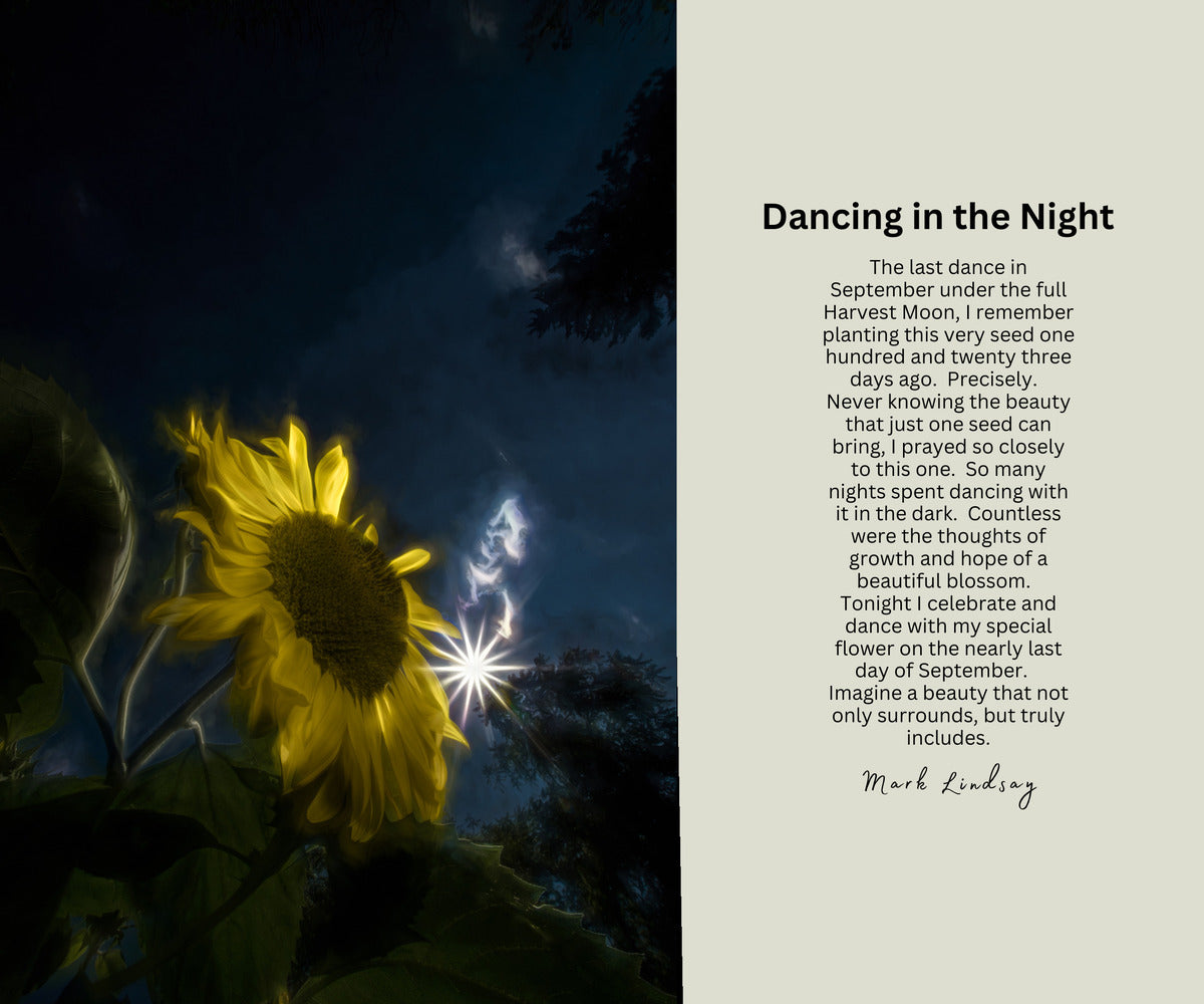 Inspirations:  Dancing in the Night