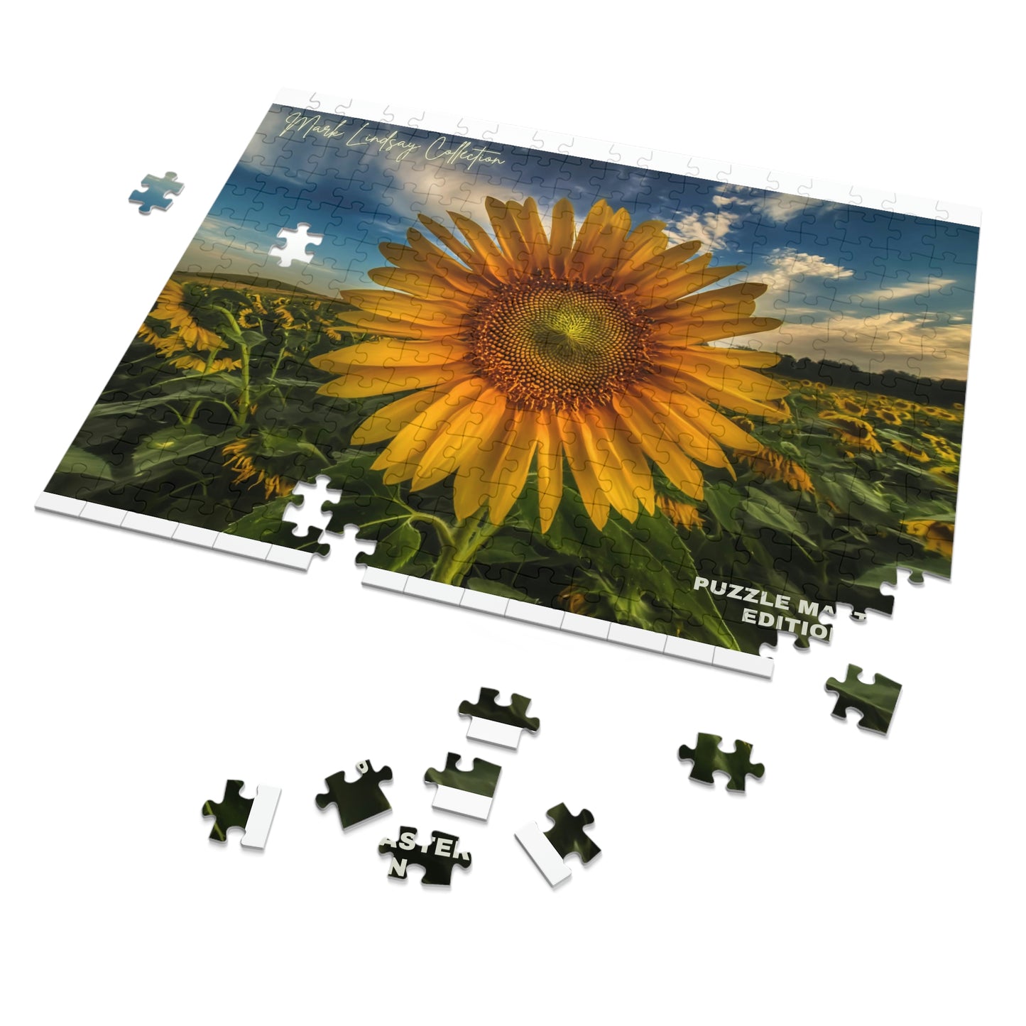 Sunflower Magic Jigsaw Puzzle Master (252, 500,1000-Piece)