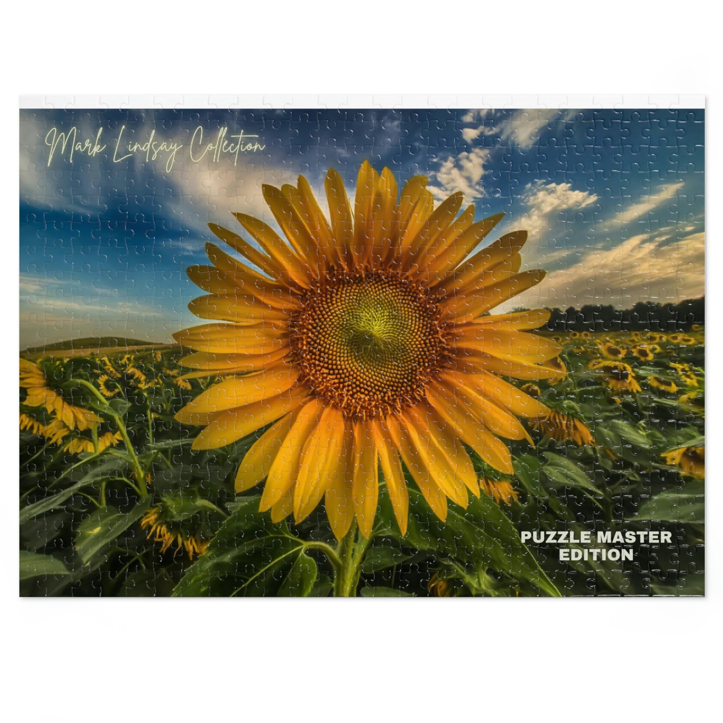 Sunflower Magic Jigsaw Puzzle Master (252, 500,1000-Piece)