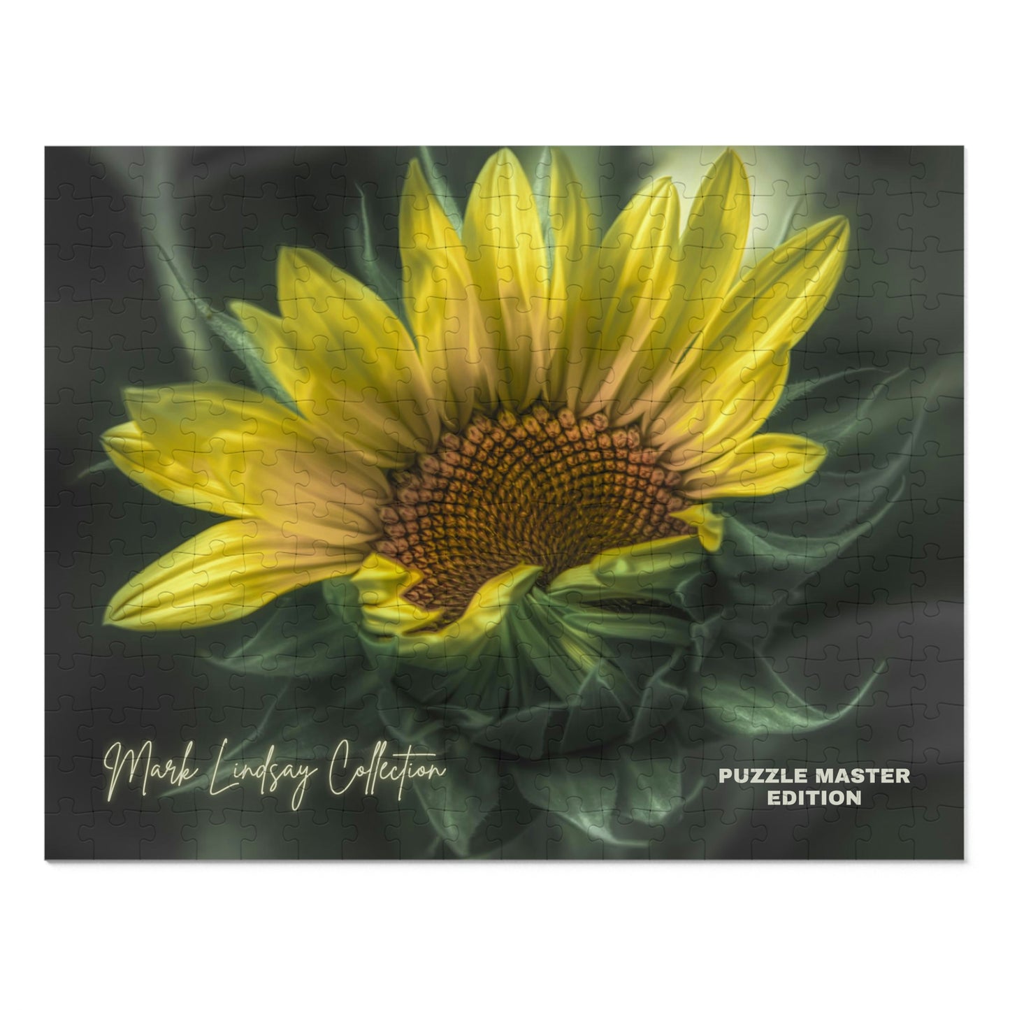 Bashful Brilliance Jigsaw Puzzle Master (252, 500,1000-Piece)