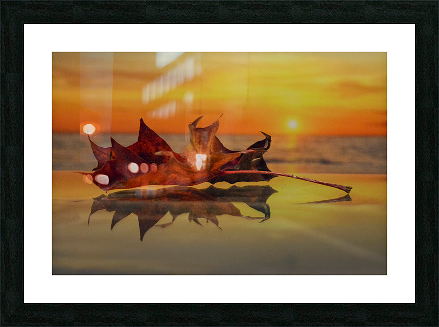 Framed Print