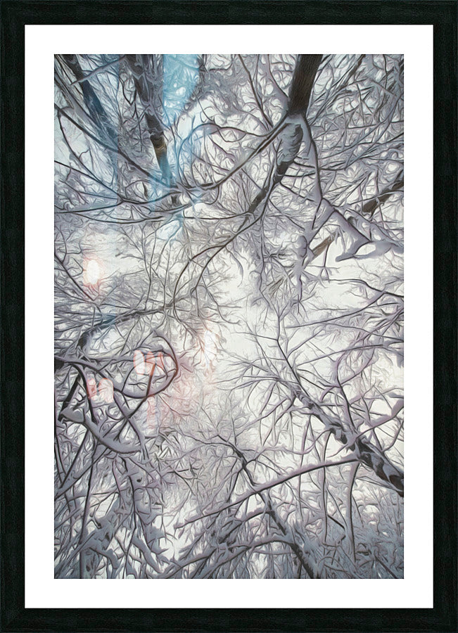 Framed Print