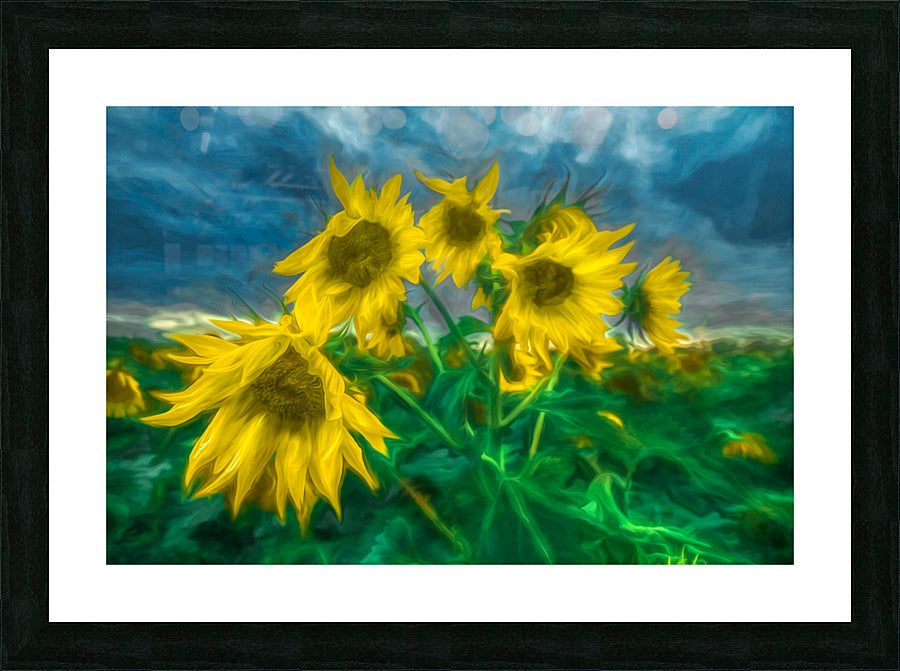 Framed Print