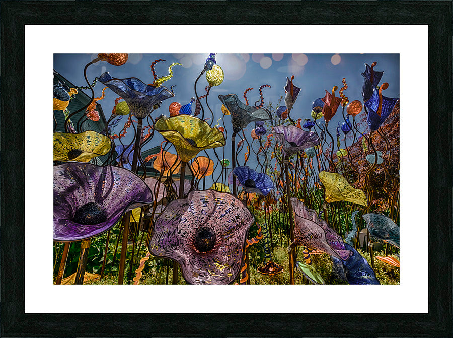 Framed Print