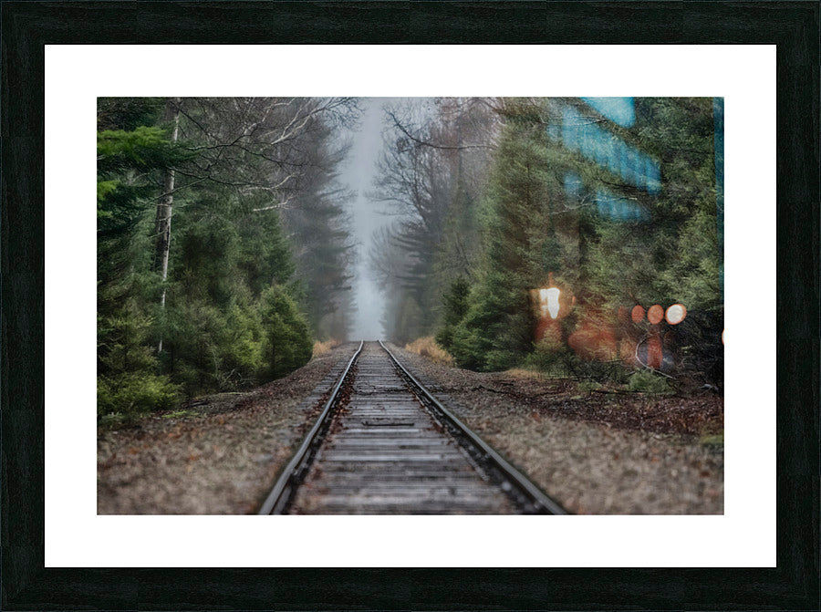 Framed Print