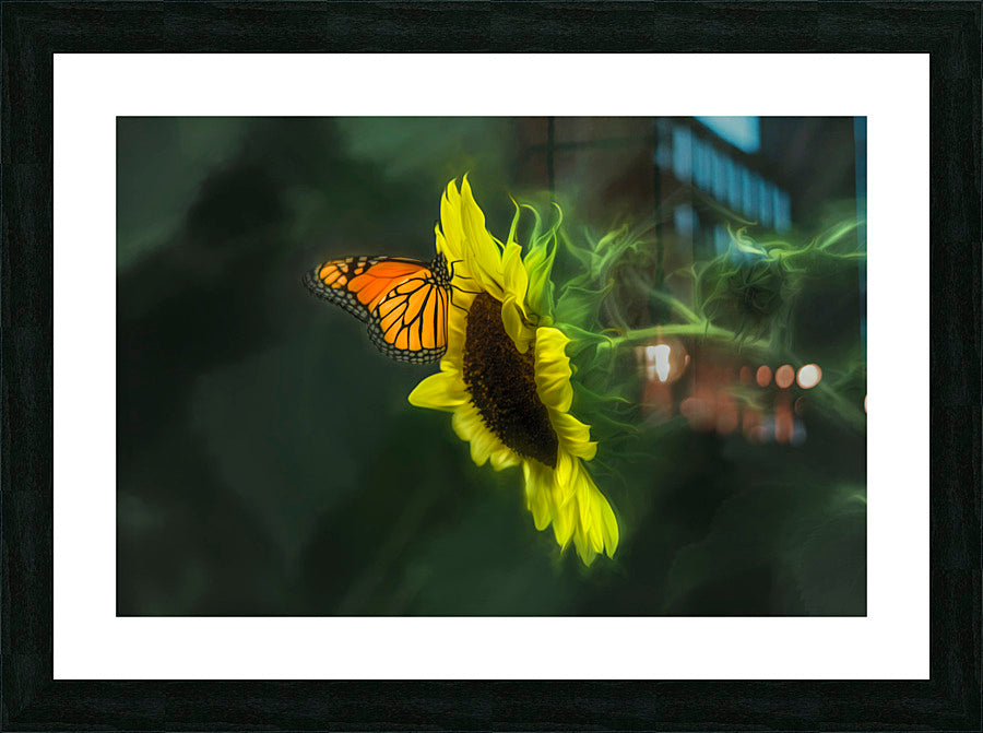 Framed Print