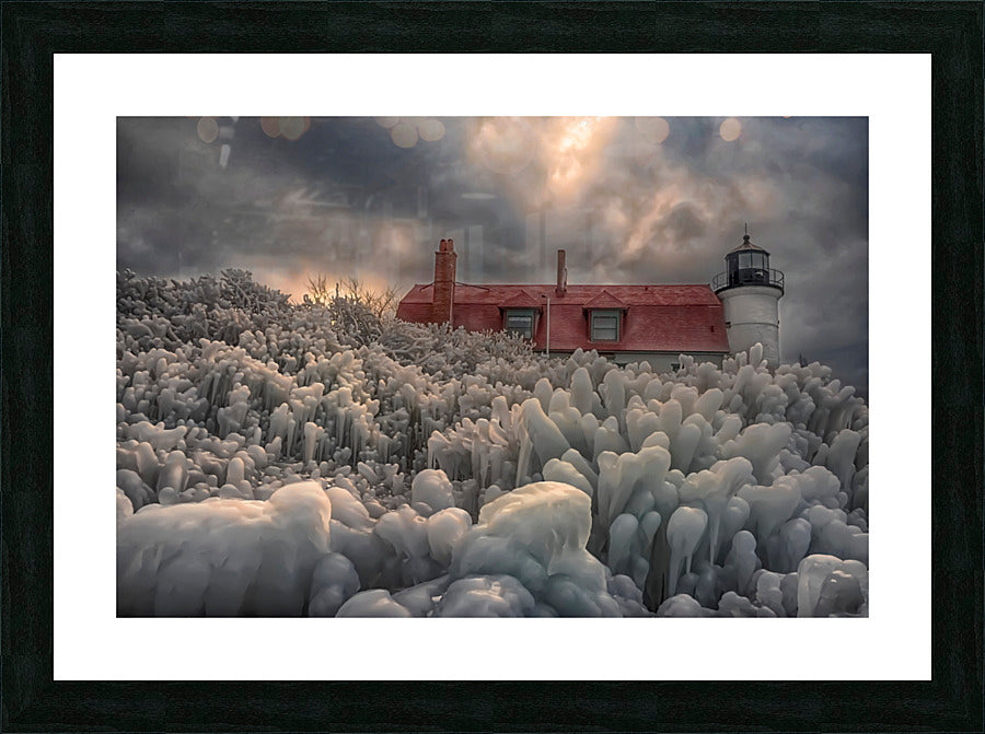 Framed Print