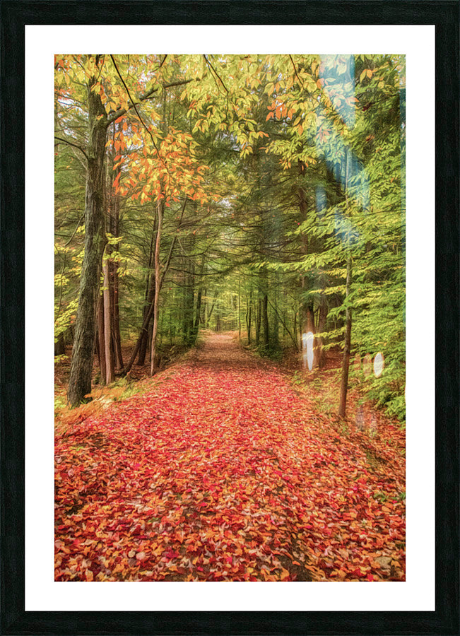 Framed Print