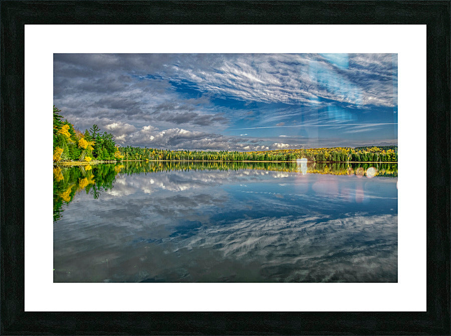 Framed Print