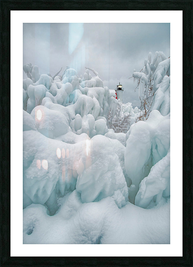 Framed Print