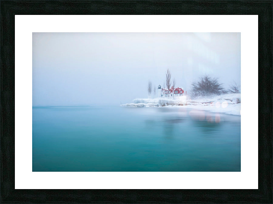 Framed Print