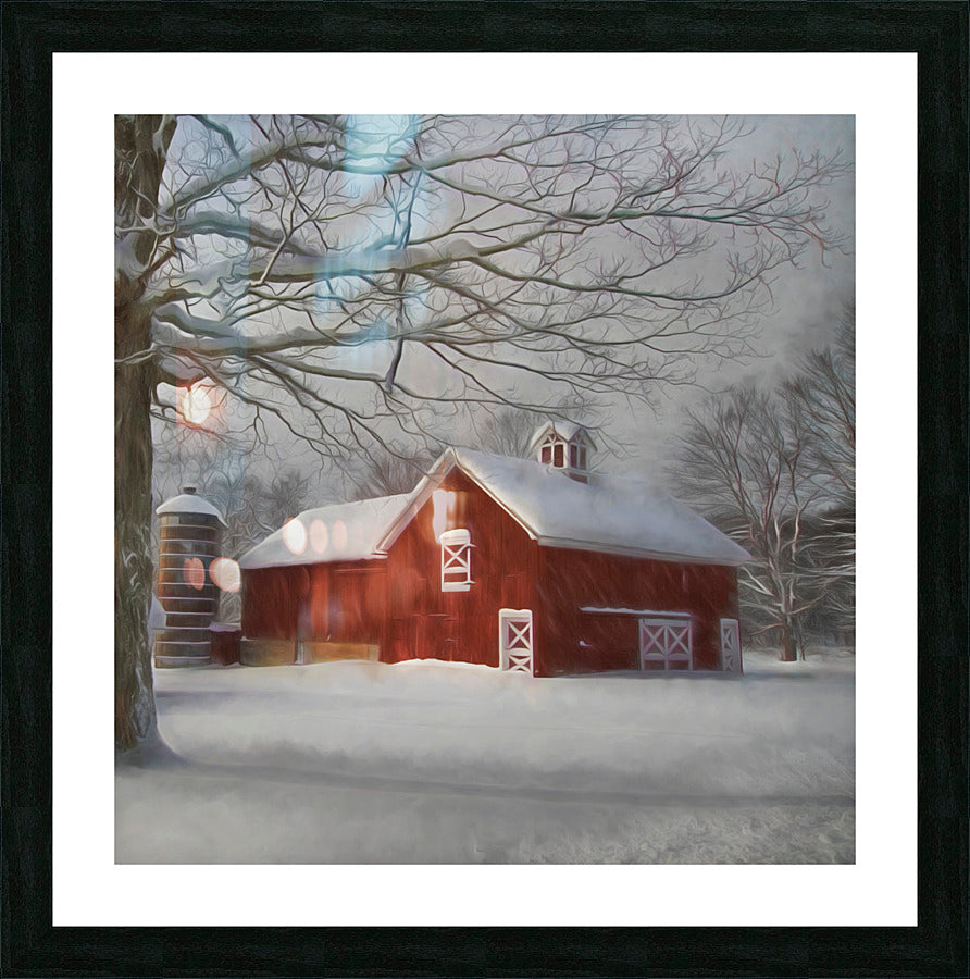 Framed Print