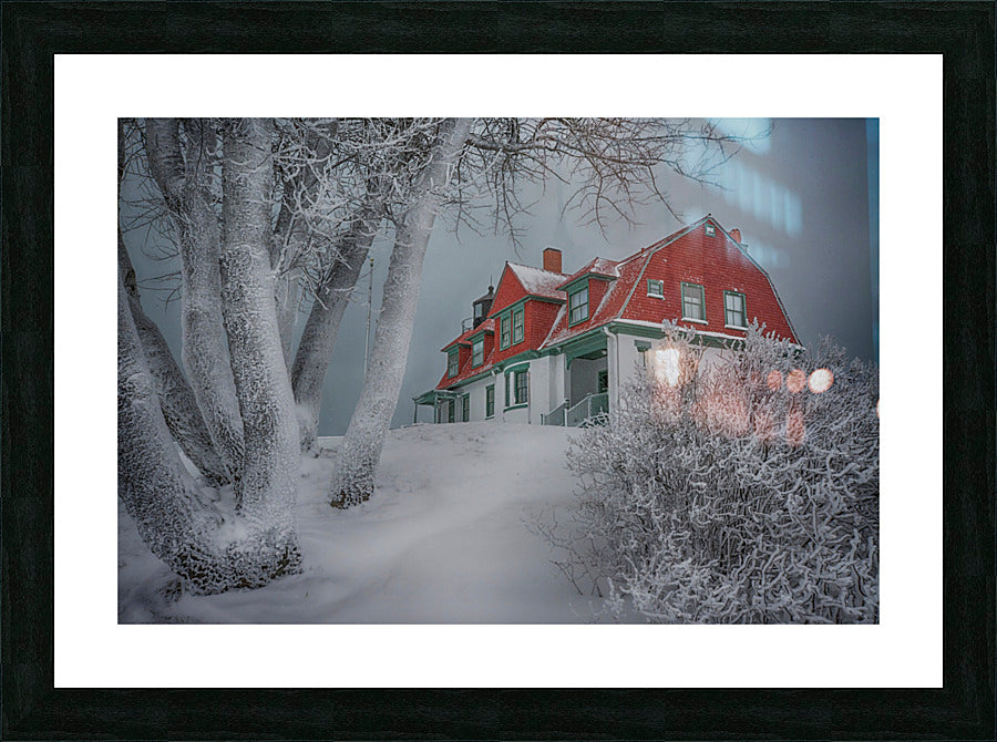Framed Print