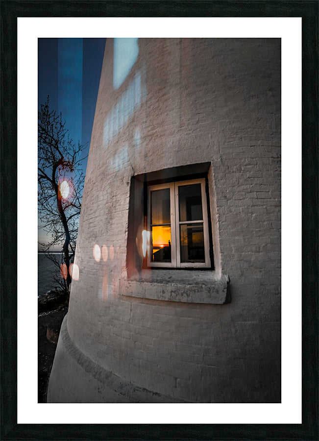 Framed Print