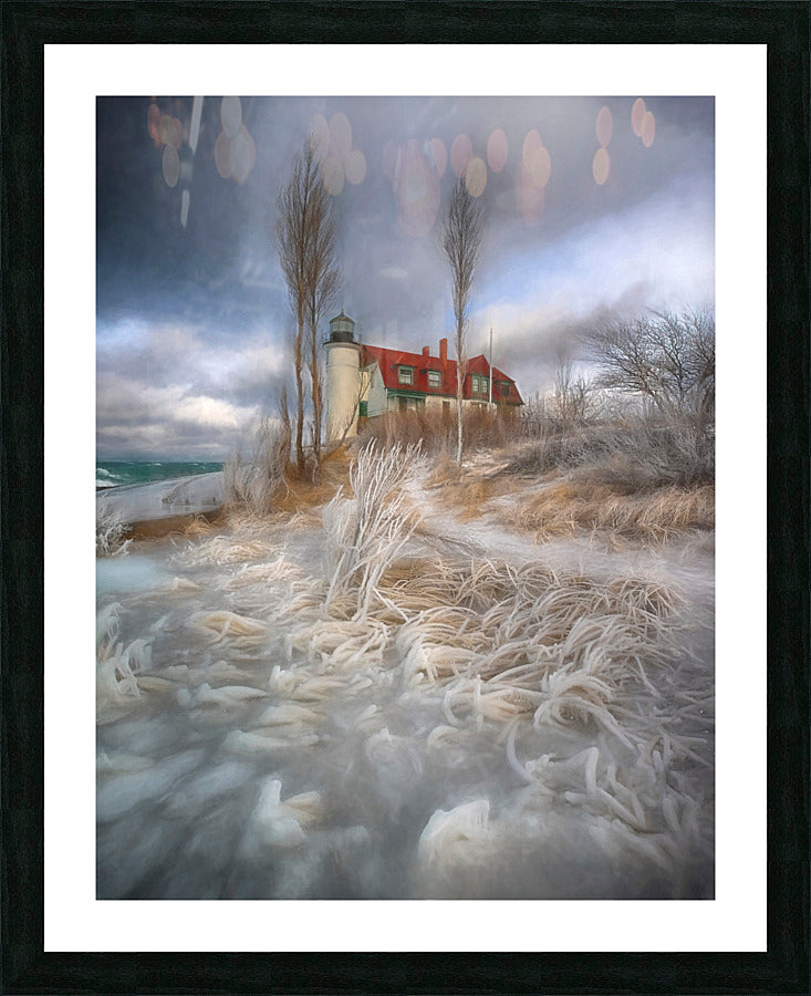 Framed Print