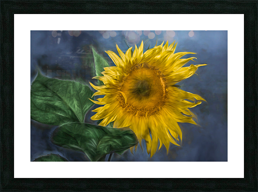 Framed Print
